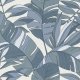 Tropicale